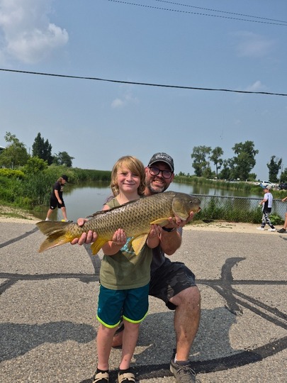 Common Carp