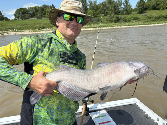 Channel Catfish