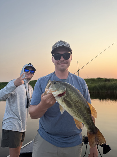Largemouth Bass