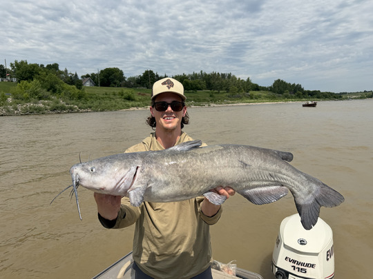 Channel Catfish