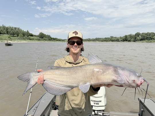 Channel Catfish