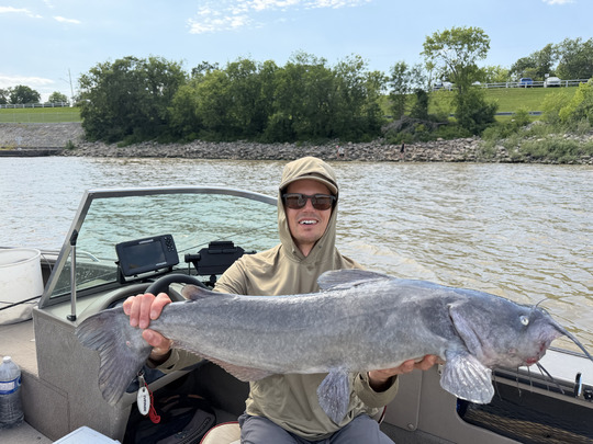 Channel Catfish