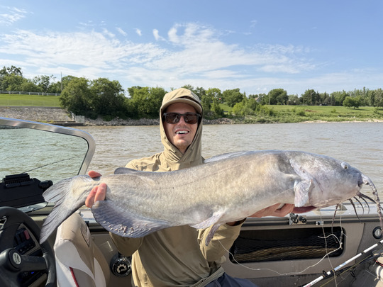 Channel Catfish