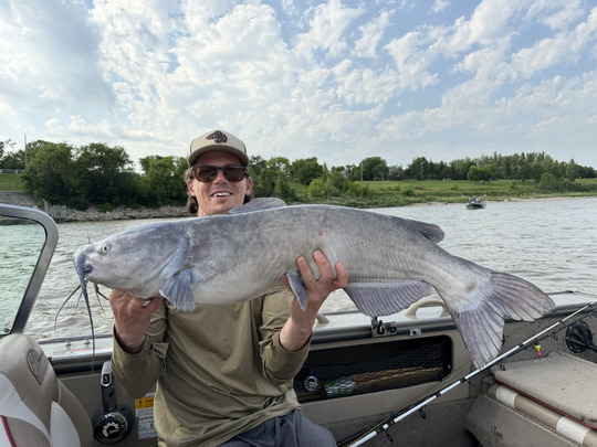 Channel Catfish