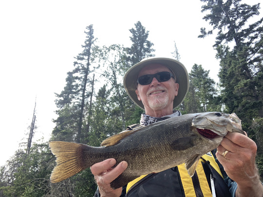 Smallmouth Bass