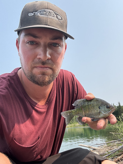 Sunfish