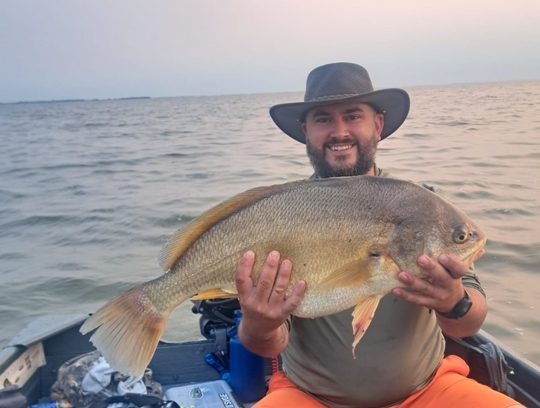 Freshwater Drum