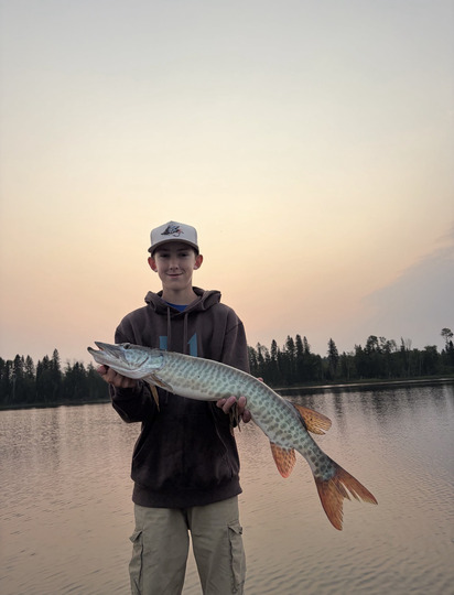 Muskellunge