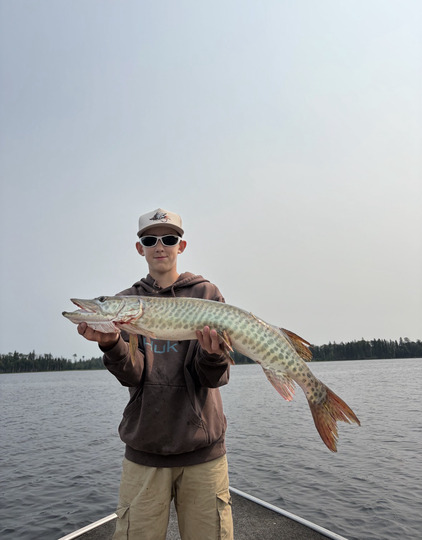 Muskellunge