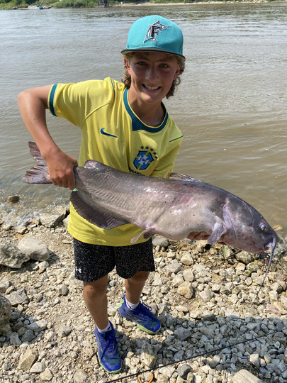 Channel Catfish