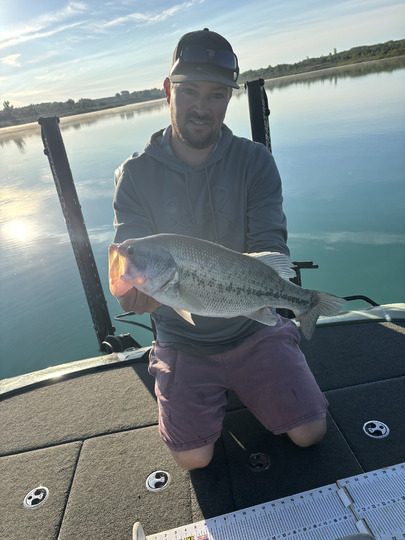 Largemouth Bass