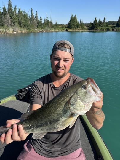 Largemouth Bass