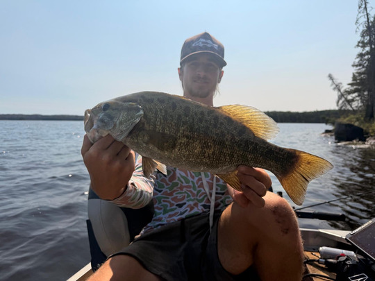 Smallmouth Bass