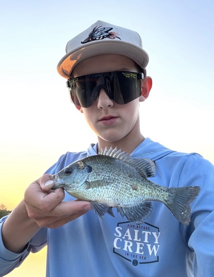 Sunfish