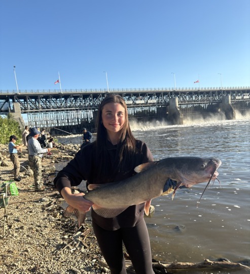 Channel Catfish