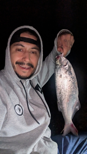 Goldeye