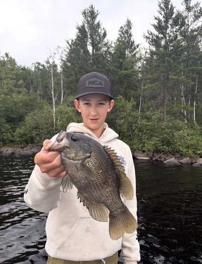 Rock Bass