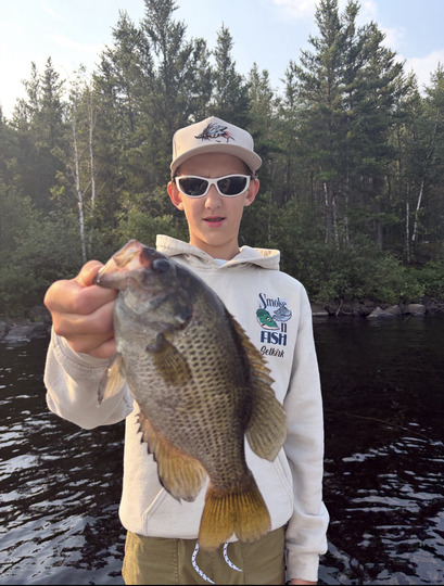 Rock Bass