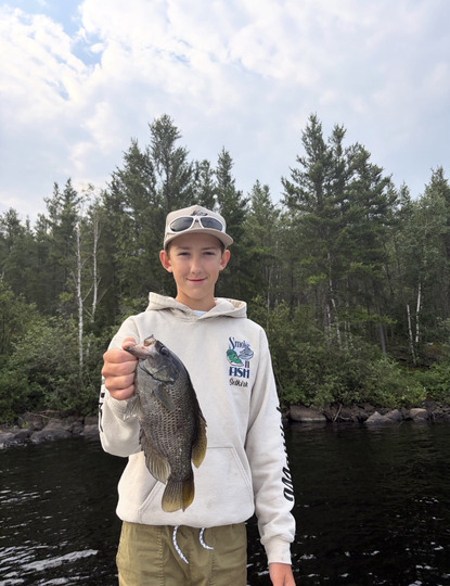Rock Bass