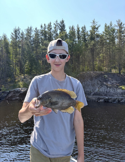 Rock Bass