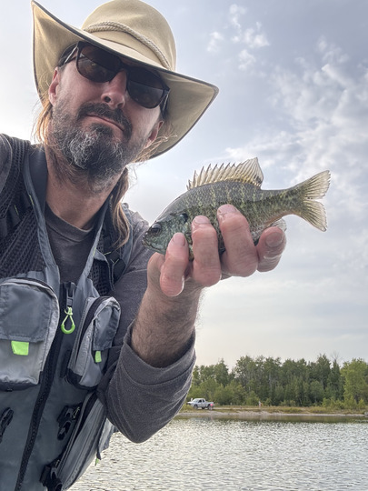Sunfish