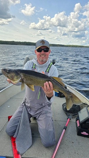 Walleye