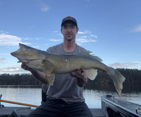 Walleye