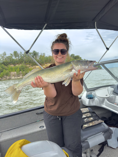 Walleye