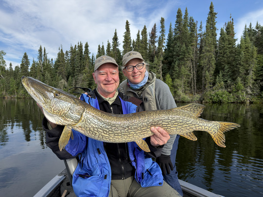 Northern Pike