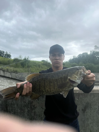 Smallmouth Bass
