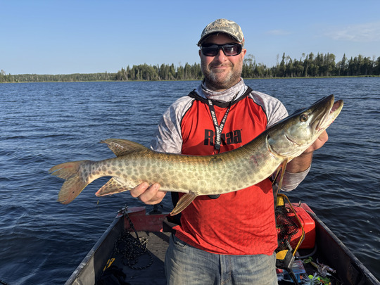 Muskellunge