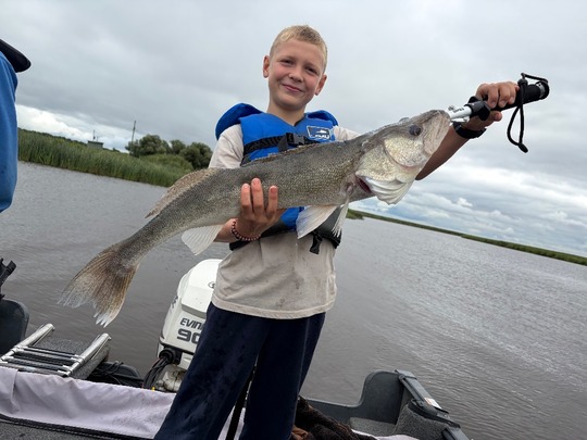 Walleye
