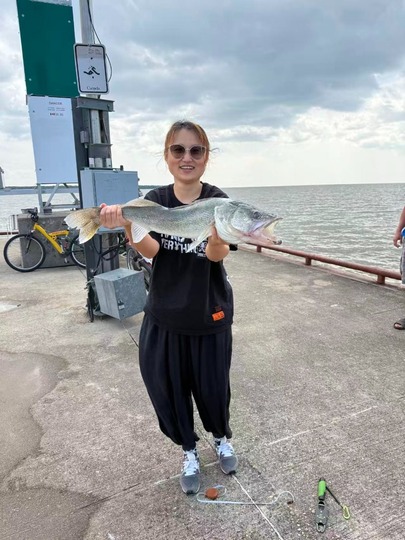 Walleye
