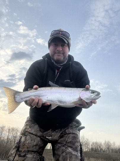 Rainbow Trout