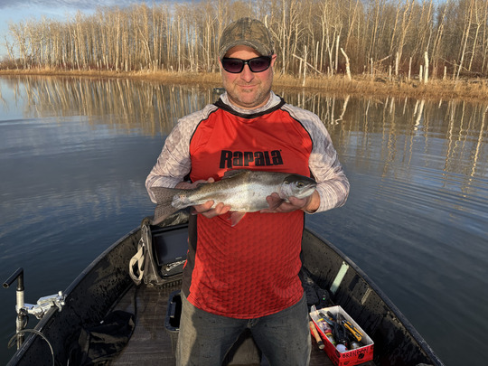 Rainbow Trout