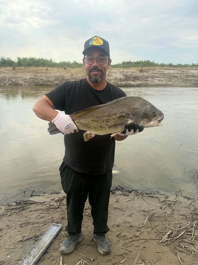 Freshwater Drum