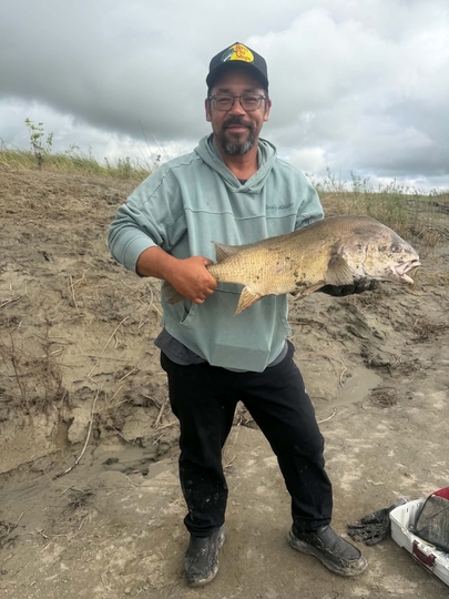 Freshwater Drum