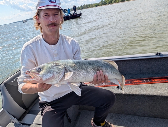 Walleye