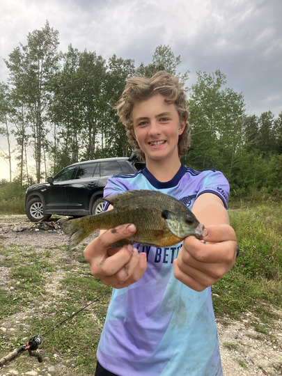 Sunfish