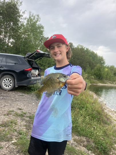 Sunfish