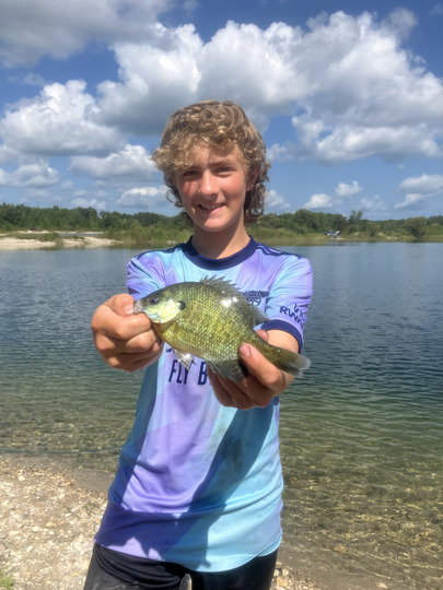 Sunfish