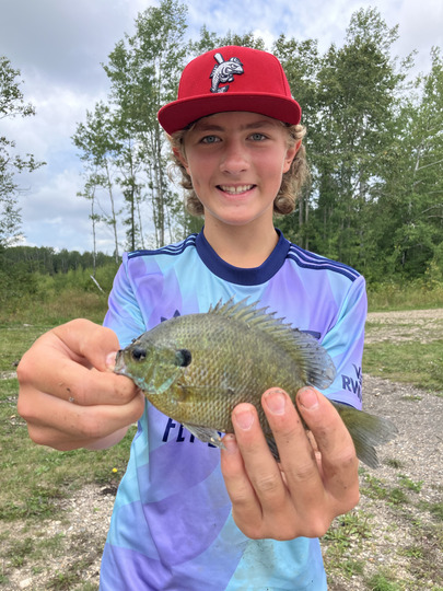 Sunfish