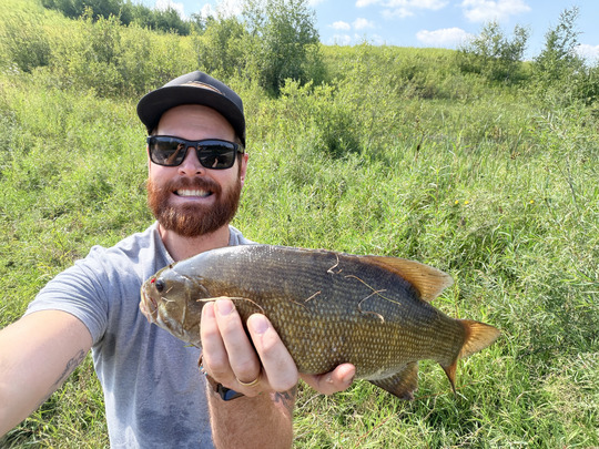 Smallmouth Bass
