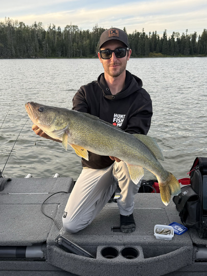 Walleye