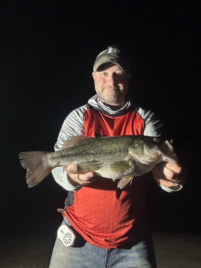 Largemouth Bass