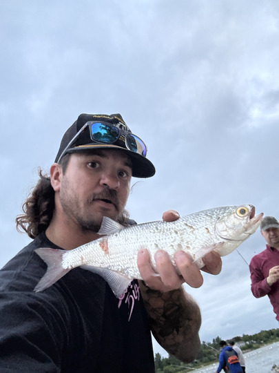 Goldeye