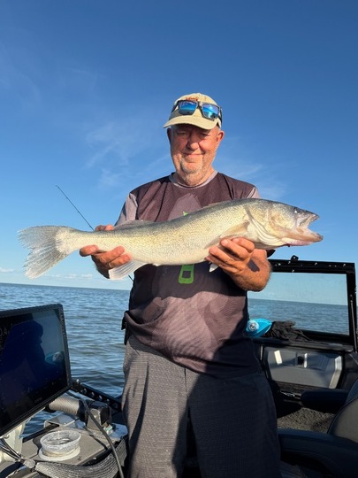 Walleye