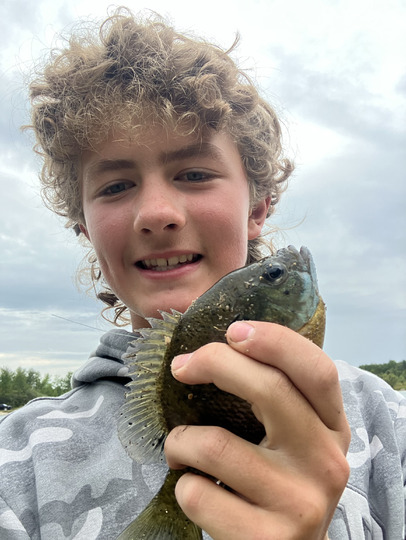 Sunfish