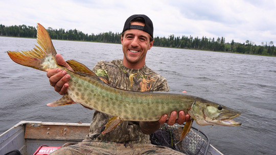 Muskellunge