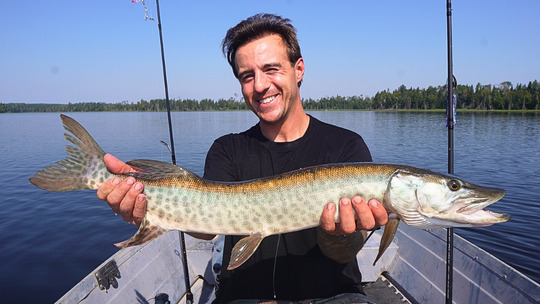 Muskellunge